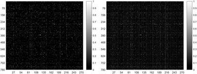 SPCMLMI: A structural perturbation-based matrix completion method to predict lncRNA–miRNA interactions